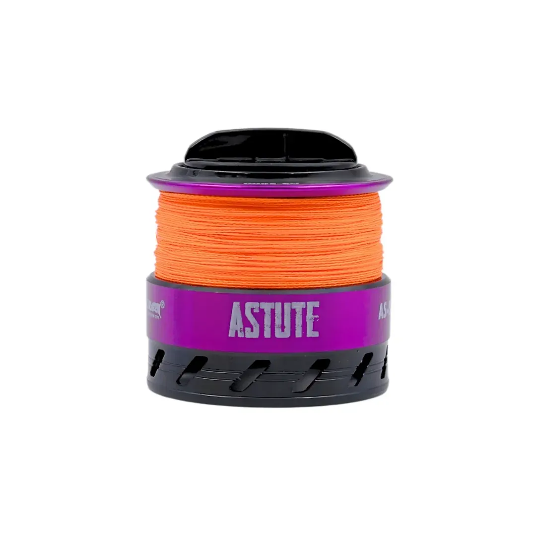 Pioneer Astute — view 3 of 5 — Alshahama Marine — thumbnail 3 of 5