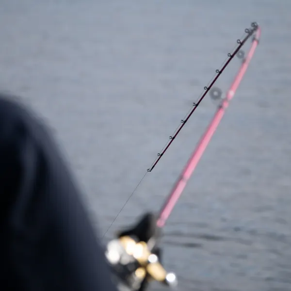 The line that holds.